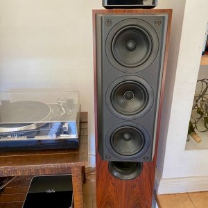 Amp Ultra 1.jpg