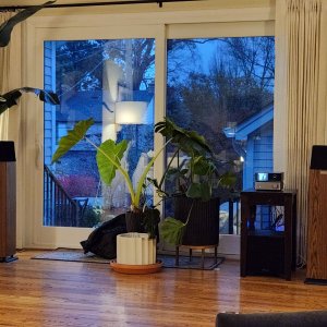Living Room Stereo