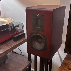 Media 'IMG_9671.jpeg' in category 'WiiM Showcase'