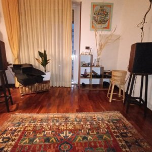 Media 'IMG20260210174133.jpg' in category 'WiiM Showcase'