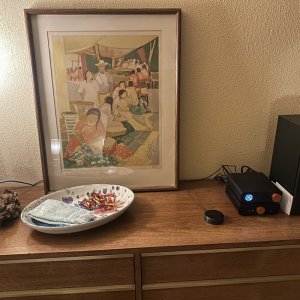 Media 'IMG_1273.jpeg' in category 'WiiM Showcase'