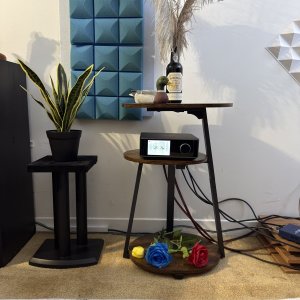 Media 'Stand.jpg' in category 'WiiM Showcase'